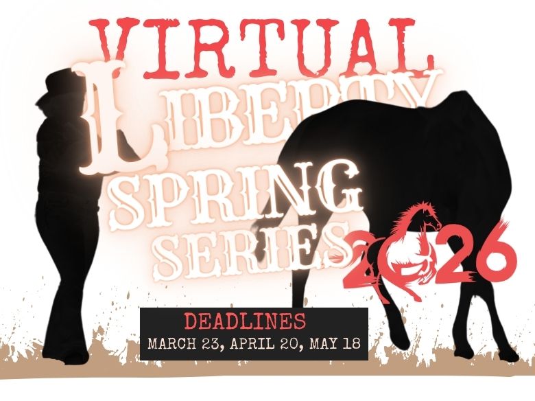 Virtual LCS Spring Series